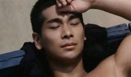 红姨最新爆料新闻,最新爆料新闻背后的惊人真相